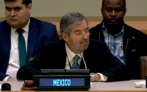 Ambassador de la Fuente, Permanent Representative of Mexico to the United Nations Mission in New York, speaking at a Civil Society Task Force event.