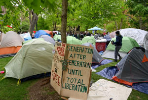 tents on a lawn, pro-gaza signs 