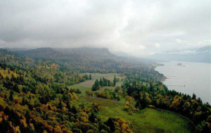 photo of Gifford Pinchot National Forest Columbia Gorge 