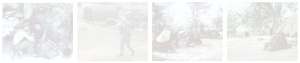 af_11172020_thomas_orr_transitory_refuge_and_other_questions_scrims.png af_11172020_thomas_orr_transitory_refuge_and_other_questions_scrims.png