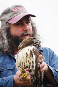 Bob Sallinger and Peregrine Falcon Bob Sallinger and Peregrine Falcon