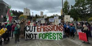 Who Should Own the Forests Who Should Own the Forests