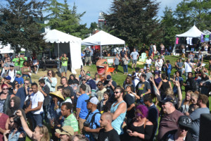 Seattle Hempfest 2017