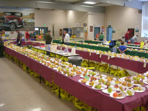 All About Fruit Show