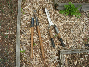 Tools to sharpen Tools to sharpen