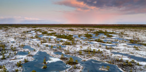 Frozen peatlands
