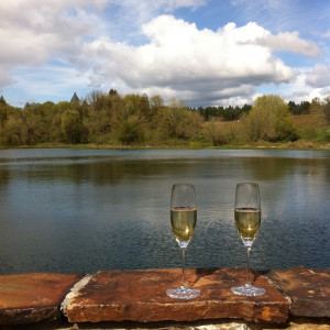 Sparkling wine beside the pond in Canby