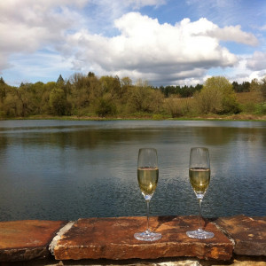 Sparkling wine beside the pond in Canby Sparkling wine beside the pond in Canby