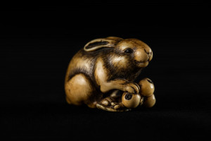 japanese_ivory_netsuke_of_a_rabbit_with_a_bunch_of_loquats._signed_in_rectangular_reserve_okatomo._18th_century._photo_by_heather_hawksford.jpg japanese_ivory_netsuke_of_a_rabbit_with_a_bunch_of_loquats._signed_in_rectangular_reserve_okatomo._18th_century._photo_by_heather_hawksford.jpg