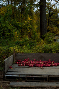 A wagon of red apples