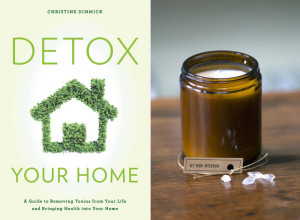 Detox Your Home wit Christine Dimmick Chrtine Dimmick, Detox Your Home