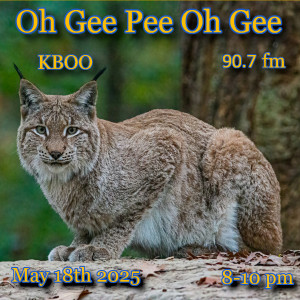 A lynx casually crouches on a rock against the greenery of spring