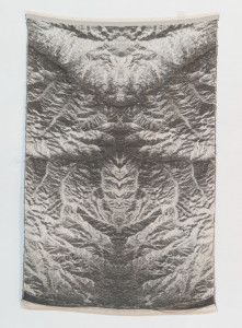 phoenix_hindukush2.socolofsky.jpg phoenix_hindukush2.socolofsky.jpg