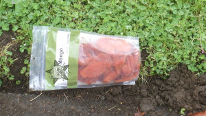 A bag of dried mangos with the Self Help Radio logo on it.