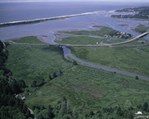 Siletz Bay Natl Wildlife Refuge (Creative Commons)