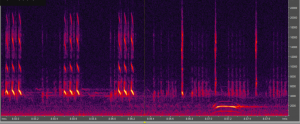 Cricket Spectral graph Cricket spectral graph