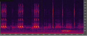 Cricket spectral graph