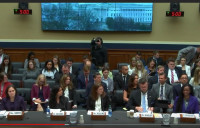 Witness Panel