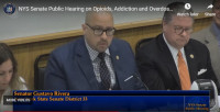 New York State Senaor Gustavo Rivera, Chair of the senate’s Health Committee, and Senator Peter Harckham, Chair of the Alcohol and Substance Abuse Committee