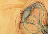 af_sienna_art_studios_numberism_heart_detail.png af_sienna_art_studios_numberism_heart_detail.png