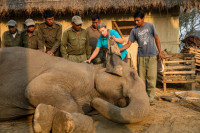 Carol with mahouts in Asia