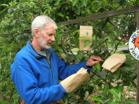 Glen "bagging" apples Glen "bagging" apples