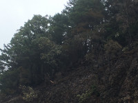 Blackened rock face just east of Multnomah Falls Blackened rock face just east of Multnomah Falls