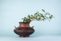 ikebana-baskets-121817-image-011-376x251.jpg ikebana-baskets-121817-image-011-376x251.jpg
