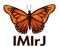 IMIrJ