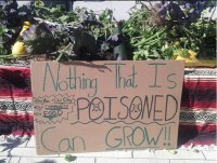 Nothing that is poisoned can grow