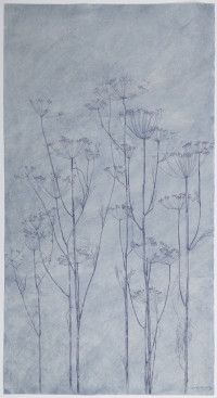 sarah_horowitz_blue_seed_heads_2021.jpg